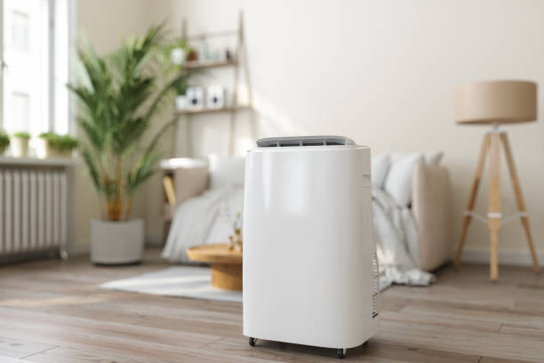 Best HVAC Air Duct Cleaning  in Ada, MN